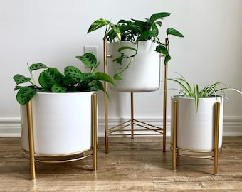 White Metal Planter Pots on Gold Plant Stands