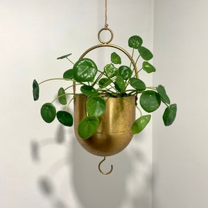Brushed Gold Hanging Metal Planter/Hanging Planter/Indoor Outdoor/porch decoration/ metal rustic gold pot/phothos palnter