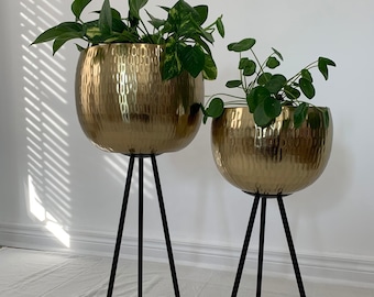 Gold Hammered Metal Bowl Planters on Black Iron Legs