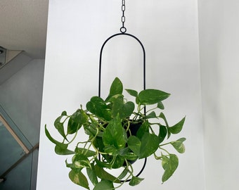 Black Metal Bullet Hanging Planter/hanging planter/indoor plant / indoors 9outdoor/black metal /metal rope