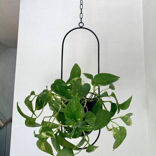 Brushed Gold Hanging Metal Planter Etsy