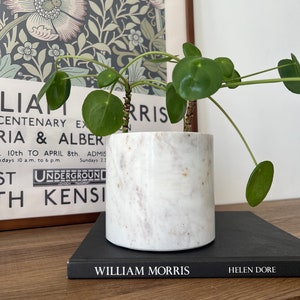 Puede incluir: Una maceta de mármol blanco con una planta de árbol de dinero verde. La maceta está encima de un libro negro con el texto "WILLIAM MORRIS" y "HELEN DORE" impreso en la portada.