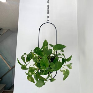 Black Metal Bullet Hanging Planter/hanging planter/indoor plant / indoors 9outdoor/black metal /metal rope