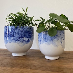 May include: Two ceramic planters with a blue and white marbled design. The planters are filled with green plants.