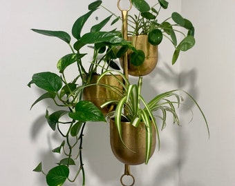 Brushed Gold 3-Pot Hanging Planter