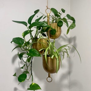 Brushed Gold 3-Pot Hanging Planter.Wall Hanging.Outdoor Hanging.Indoor Hanging.Porch Hanging. Rustic Gold Plated Pot