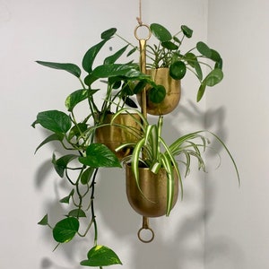 Brushed Gold 3-Pot Hanging Planter