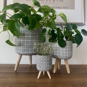 Gepunktete Zement Pflanztöpfe auf Dreibein Holzständer/indoor outdoor Pflanzen/Geschenk Idee/Geburtstagsgeschenk /Catcus Pflanzer /Set / Holzbeine /