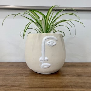 May include: A cream-coloured, face-shaped planter with white facial features, holding a green and white spider plant. The planter is on a wooden surface. The design is minimalist and modern, suitable for indoor decor.