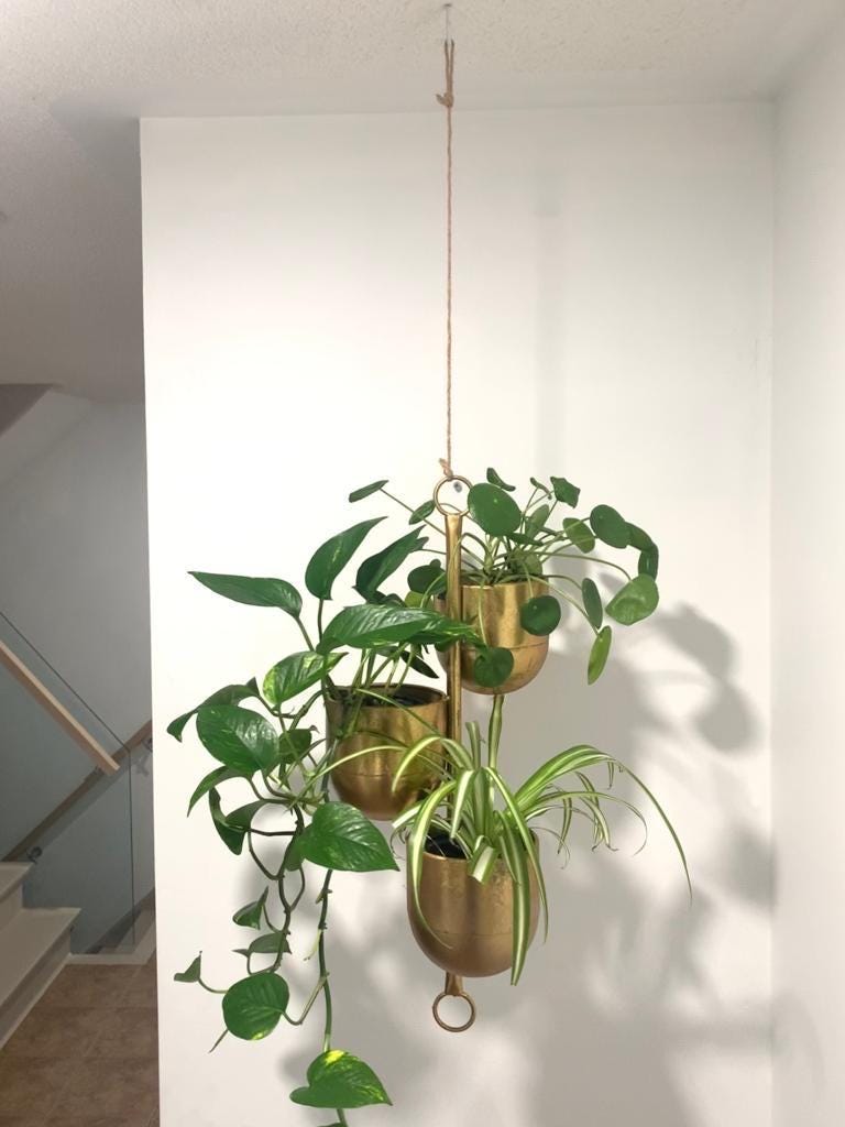 Brushed Gold 3-pot Hanging Planter: Rustic Metal Indoor/outdoor Decor - Etsy