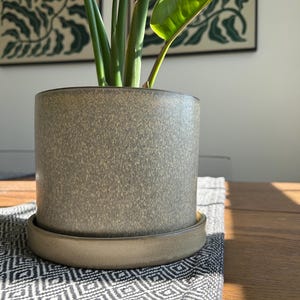 Könnte beinhalten: Ein zylindrischer, gesprenkelter grauer Keramik-Pflanztopf mit passender Untertasse enthält eine Paradiesvogelblume. Die Pflanze hat leuchtend grüne Blätter und Stiele. Der Topf steht auf einem gemusterten schwarz-weißen Tuch auf einem Holztisch.