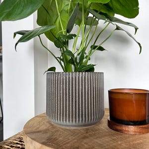 May include: A green Monstera plant in a grey ceramic pot with vertical ridges. The pot is sitting on a wooden surface.