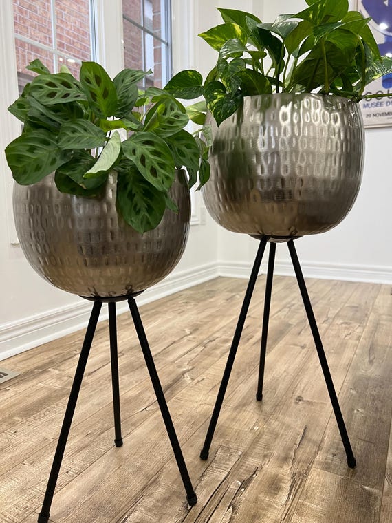 Chrome Metal Hammered Planter Set on Black Stands: Modern Indoor Decor -  Etsy Israel
