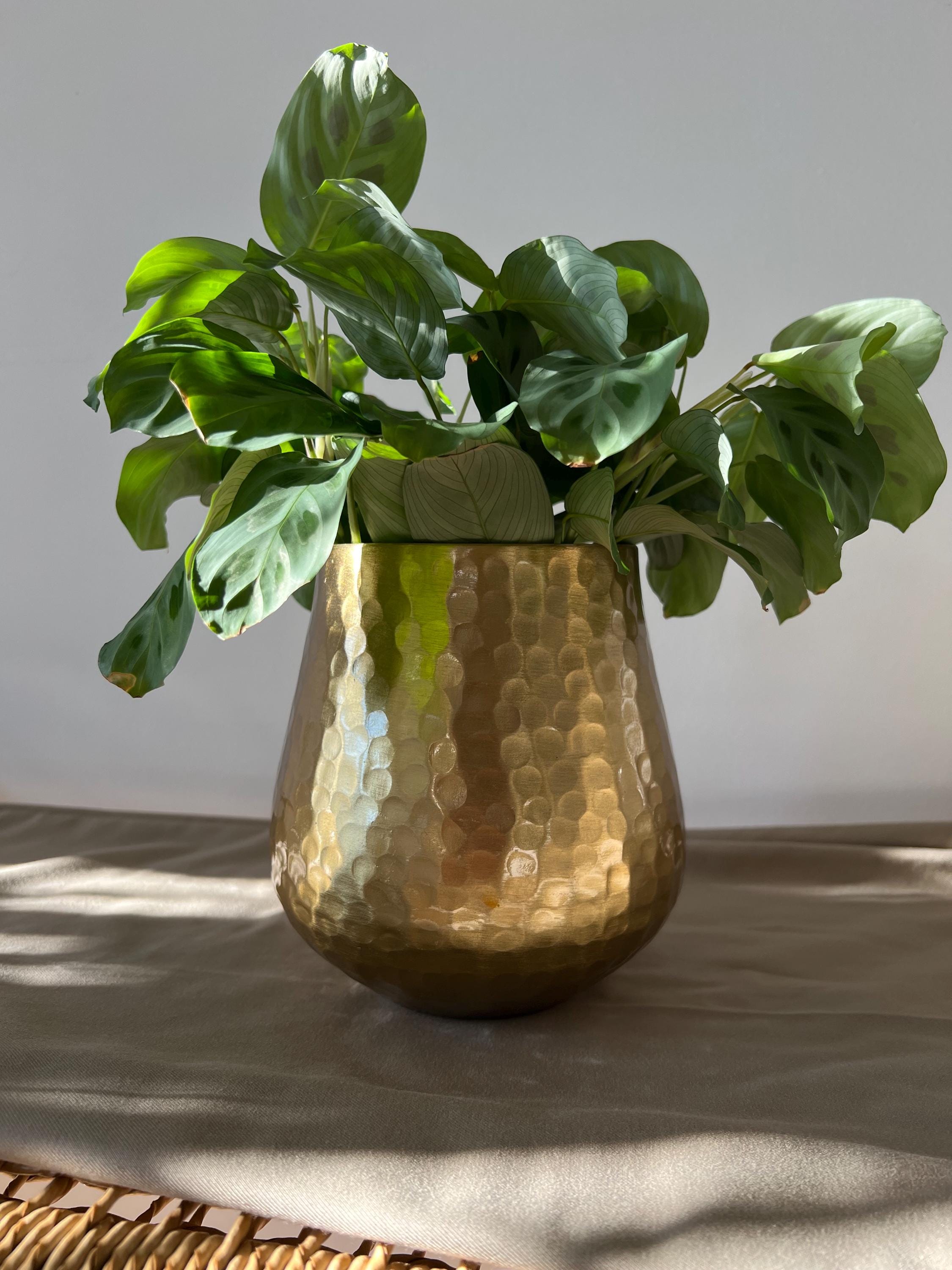 落ち着いたゴールドのハンマー仕上げメタル製植木鉢セット - イリデ