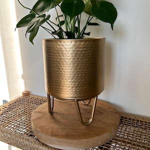 Muted Gold Hammered Metal Plant Pot/indoor /outdoor /metal /hammered /gift idea /plant lover/