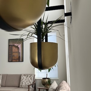 Brushed Gold and Black Iron Hanging Wall Planter Pot/wall hanging /wall decor/indoor plant decor/ fathers day gift/housewarming gift/gold