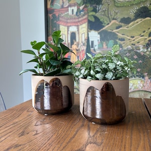 May include: Two cylindrical ceramic planters with a matte beige exterior and a glossy, dark brown, mountain-shaped glaze accent on the front. Each planter holds a small green houseplant, one with solid leaves and one with white-veined foliage.