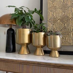 May include: A set of three graduated metallic gold planters with a smooth finish, each featuring a cylindrical body supported by a flared pedestal base. Each planter holds a green plant, arranged in descending order of size from left to right.