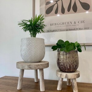 May include: Two potted plants on small wooden stands. The left plant is in a white textured pot, and the right plant is in a metallic gold pot. The stands have three legs and are made of light-colored wood. A framed print is in the background.