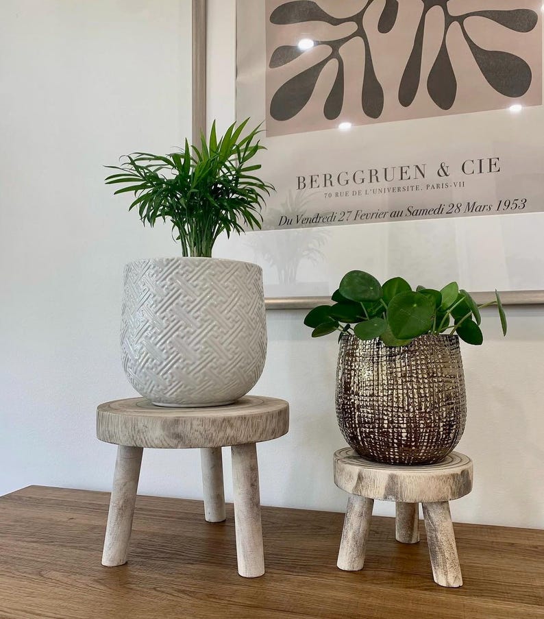 May include: Two potted plants on small wooden stands. The left plant is in a white textured pot, and the right plant is in a metallic gold pot. The stands have three legs and are made of light-colored wood. A framed print is in the background.
