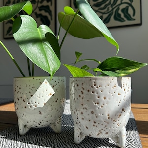 Doniczka ceramiczna Freckl: minimalistyczna dekoracja roślin do wnętrz i na zewnątrz