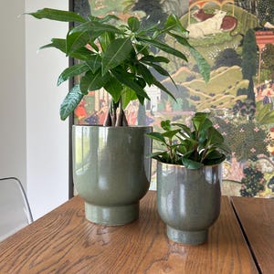 Op de afbeelding: Twee glanzende, saliegroene keramische plantenpotten met een voetstuk. De grotere pot links bevat een geldboom met heldergroene bladeren, terwijl de kleinere pot rechts een plant bevat met donkere, afgeronde en wasachtige bladeren.