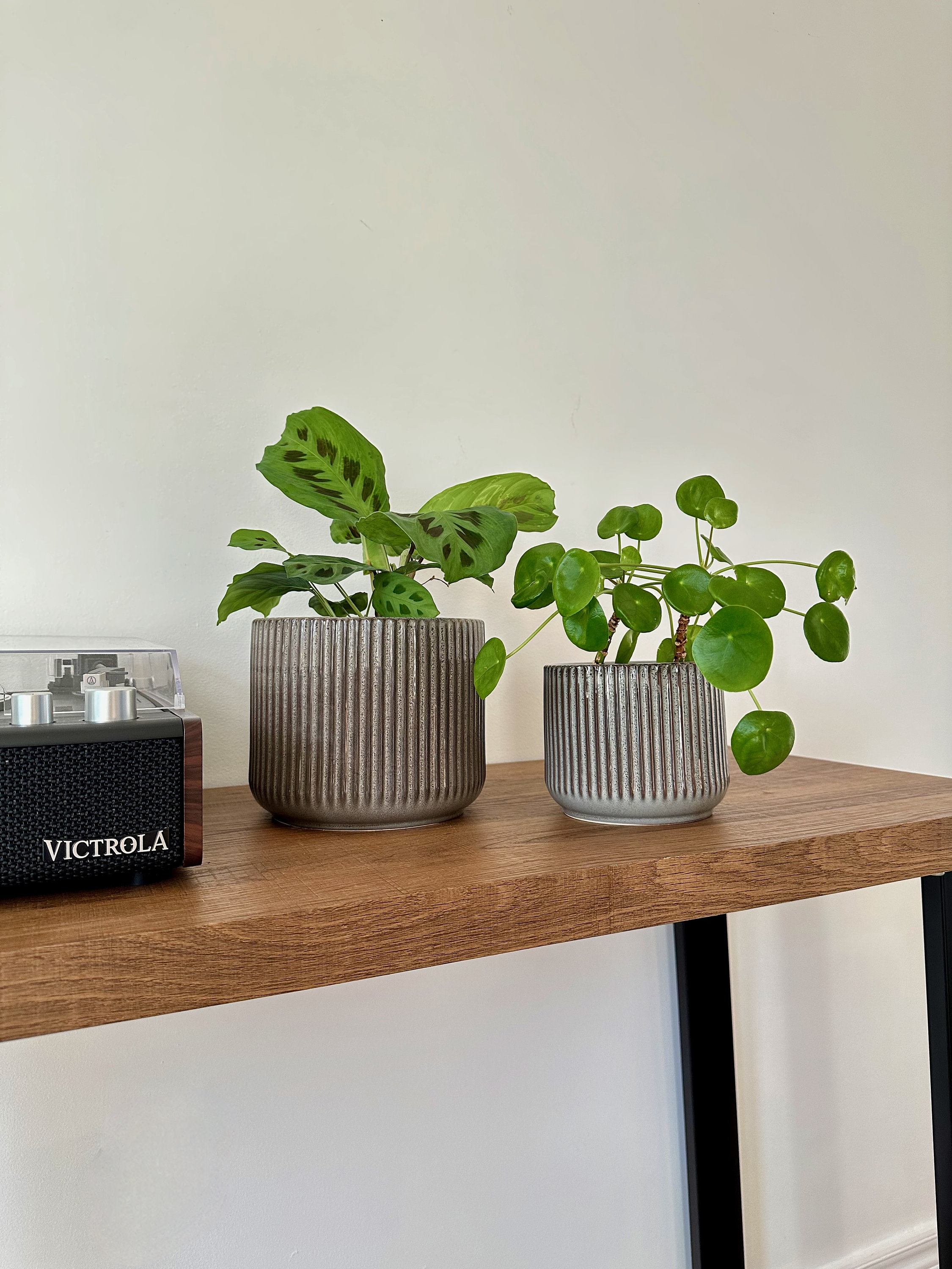 Beige plant pot - Etsy 日本
