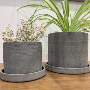 May include: Two grey concrete plant pots with matching saucers. One pot contains dried white flowers, the other a green and white plant. The pots sit on a wooden surface, with a white wall in the background.