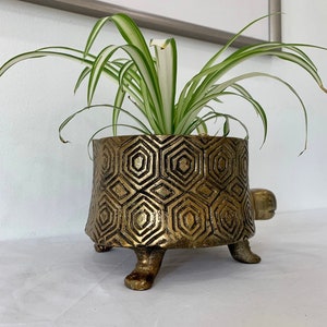 Brass Coated Turtle Planter Pot: Vintage Gold Home Decor