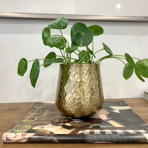 Muted Gold Hammered Metal Plant Pot - Iridescent Collection