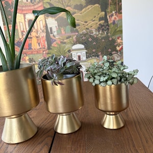 May include: Three cylindrical gold-toned metal planters with flared pedestal bases. Each planter holds a different green houseplant, including a tall plant on the left, a trailing plant in the center, and a small-leafed plant on the right.