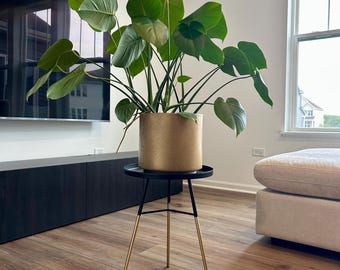 Black Metal Round Side Table: Gold Legs, Minimalist Plant Stand/elegant decor/