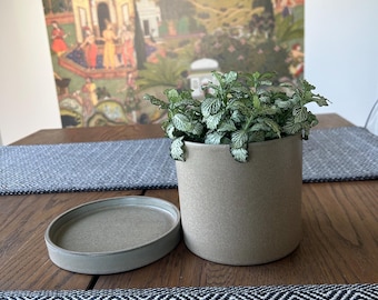 Taupe Ceramic Planter Pot with Saucer: Dstudiohome Collection Home Decor