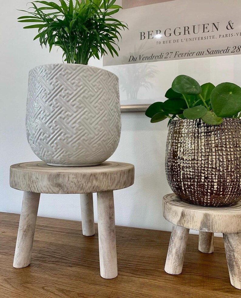 May include: Two potted plants on small wooden stools. The left plant is in a white textured pot with a geometric pattern, and the right plant is in a brown textured pot. The stools have three white legs.