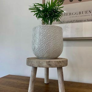May include: A small, green plant in a white, textured ceramic pot sits atop a small, three-legged wooden stool. The pot has a geometric pattern. The stool is made of light-colored wood. The background includes a framed print.