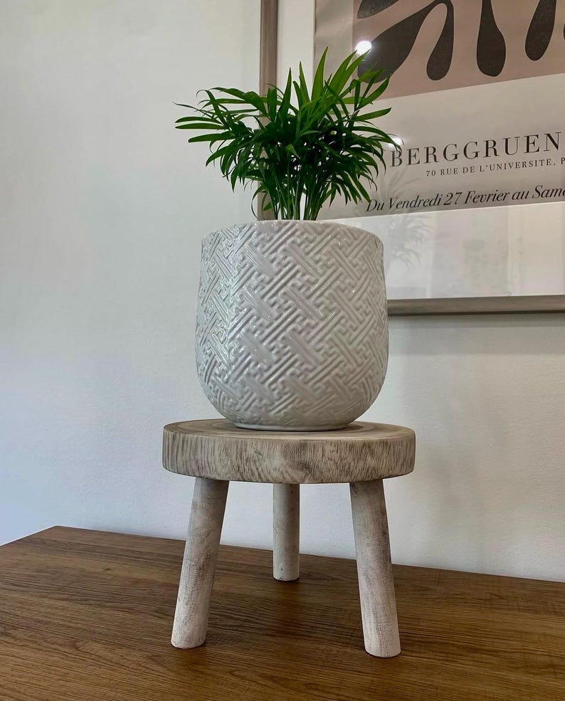 May include: A small, green plant in a white, textured ceramic pot sits atop a small, three-legged wooden stool. The pot has a geometric pattern. The stool is made of light-colored wood. The background includes a framed print.