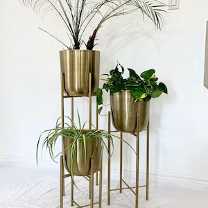 Puede incluir: Tres soportes de plantas de metal dorado con tres plantas en maceta. Los soportes están apilados uno encima del otro. El soporte superior tiene una palmera, el soporte del medio tiene una planta de hojas y el soporte inferior tiene una planta araña.