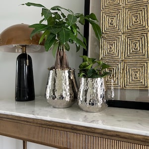 May include: Two silver-toned, hammered metal planters with a rounded, tapered shape. The larger planter holds a money tree plant with green leaves and a braided trunk, while the smaller planter contains a plant with dark green, glossy leaves.