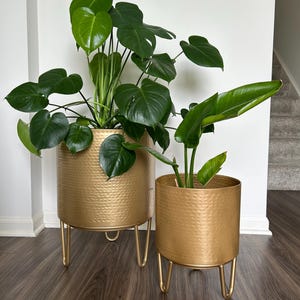 Set of Large Muted Gold Hammered Metal Floor Planter Pots with Gold Metal Stands