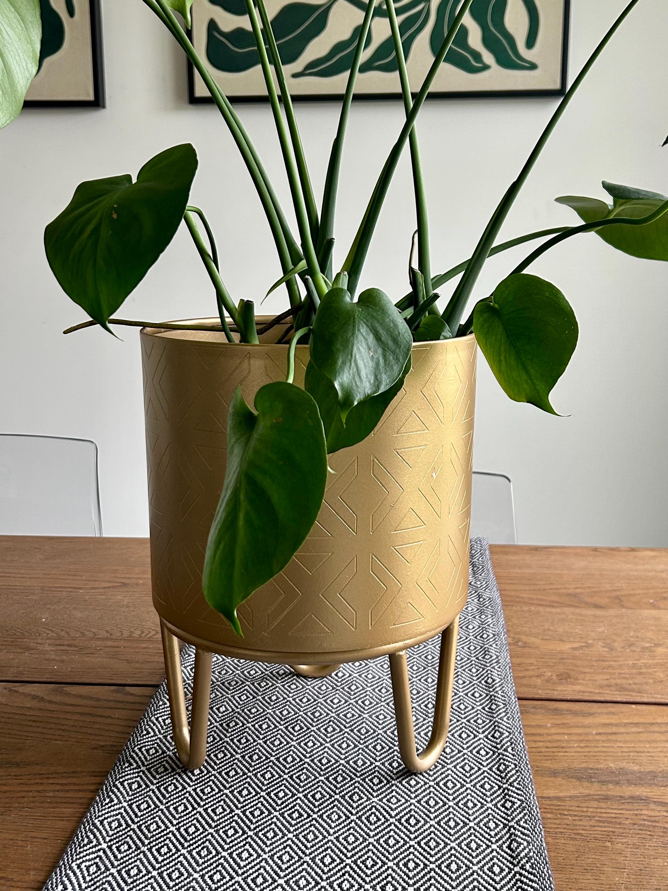 Olly & Rose Vaso in metallo spazzolato color oro scuro con supporto per
