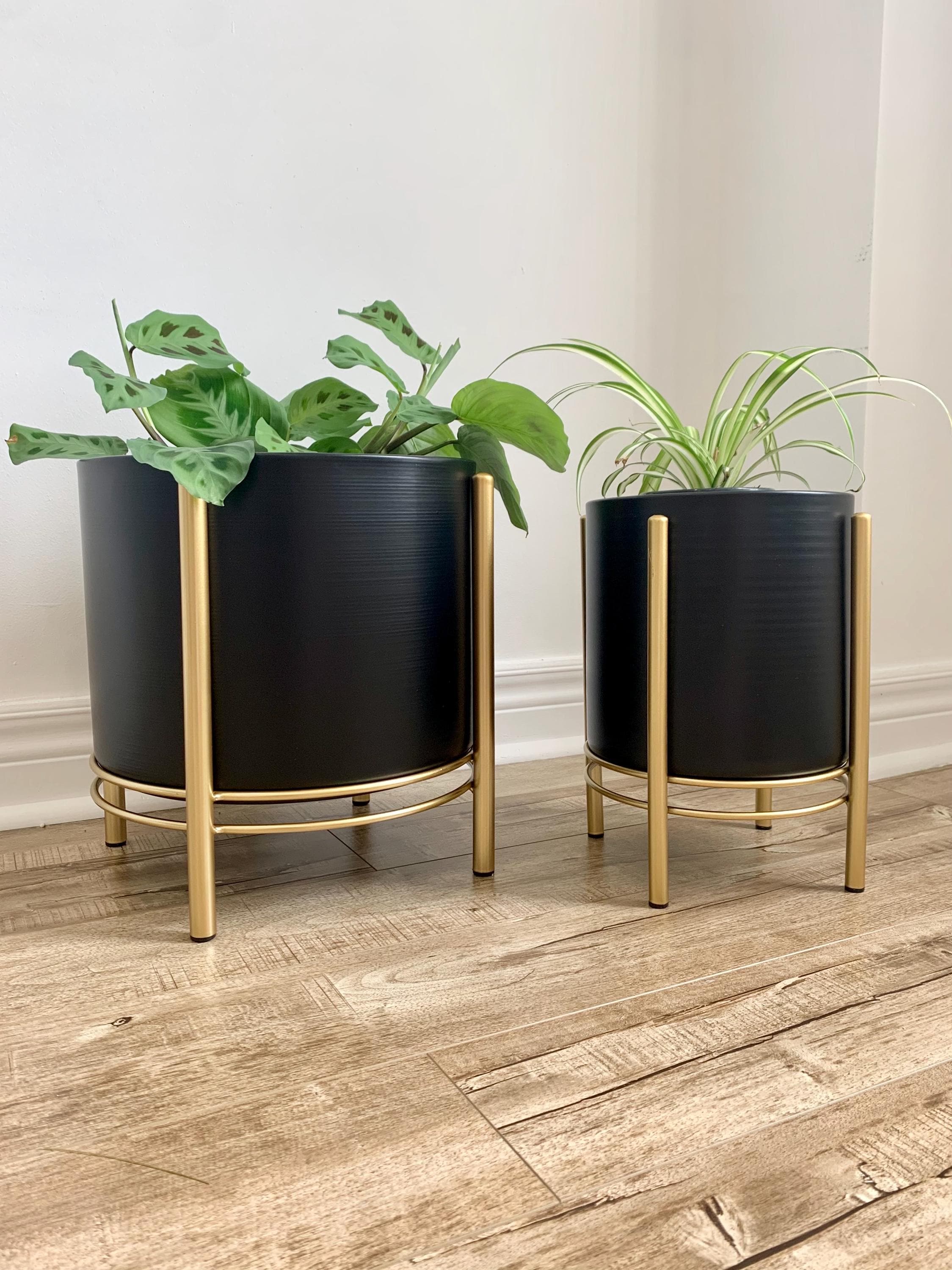 Black Metal Planter Pot With Gold Stand: Mid-century Modern