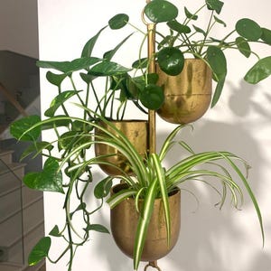 Puede incluir: Una jardinera colgante de tres niveles con macetas de color latón. Las macetas están llenas de varias plantas verdes, incluyendo una planta araña, potos y una planta con hojas redondas. La jardinera cuelga de una cuerda natural contra una pared blanca.