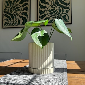 Maceta de cerámica beige con platillo: decoración moderna cilíndrica para interiores y exteriores