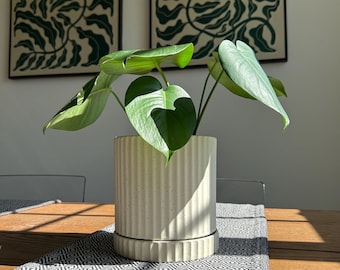 Off White Ceramic Planter Pot with Saucer – Modern Cylindrical Indoor Outdoor Decor/elegant design