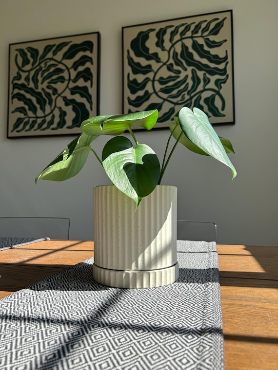 Cremefarbener Keramik-Pflanztopf mit Untersetzer - Modernes zylindrisches  Indoor Outdoor-Dekor - Etsy sterreich