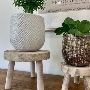May include: Two potted plants on small wooden stools. The left plant is in a white textured pot with a geometric pattern, and the right plant is in a brown textured pot. The stools have three white legs.