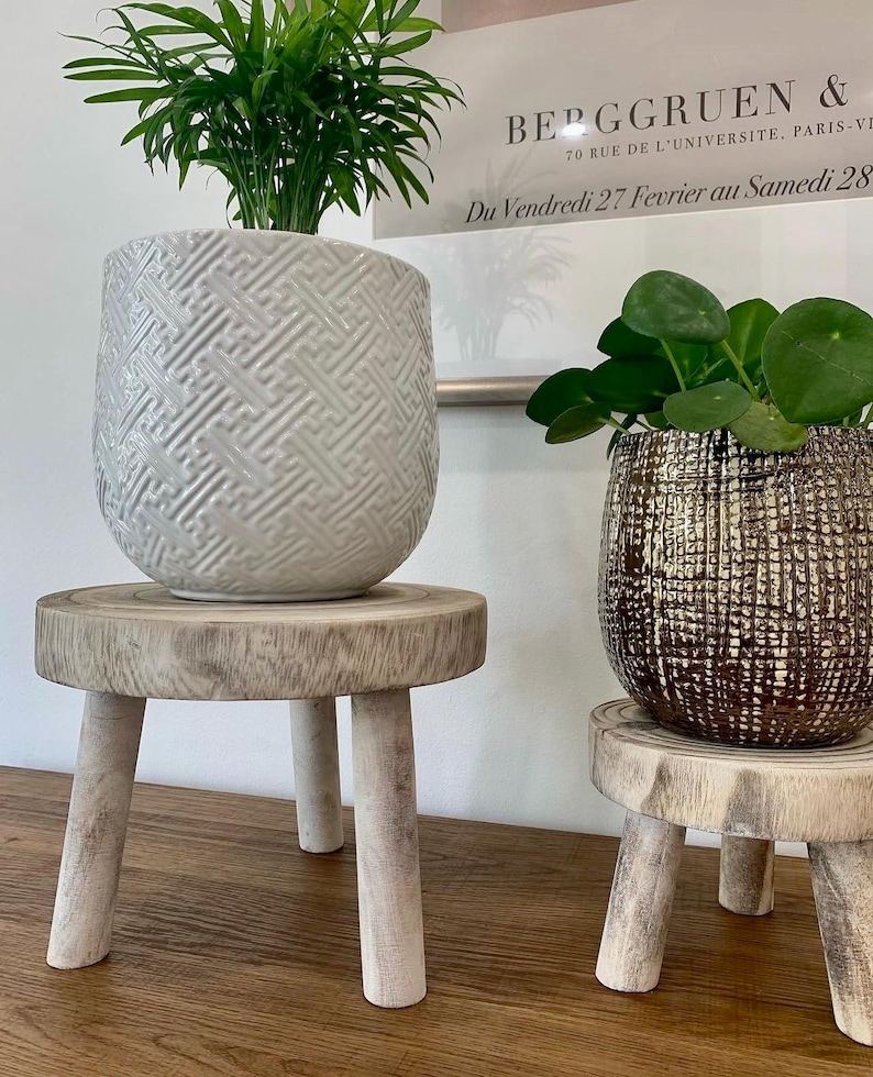May include: Two potted plants on small wooden stools. The left plant is in a white textured pot with a geometric pattern, and the right plant is in a brown textured pot. The stools have three white legs.