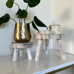 May include: A gold hammered metal planter holding a green leafy plant sits atop a small, whitewashed wooden stool. Another stool holds a small, textured white ceramic jar with a lid. The stools are on a white surface.