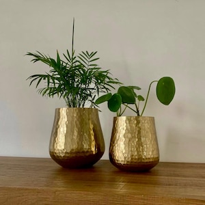 May include: Two gold-colored, hammered metal planters with plants. The planters have a rounded shape and a textured surface. One planter holds a fern-like plant, and the other has a plant with round leaves. The planters are on a wooden surface.
