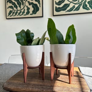 Jardinières de table modernes en céramique blanche et toile en bois